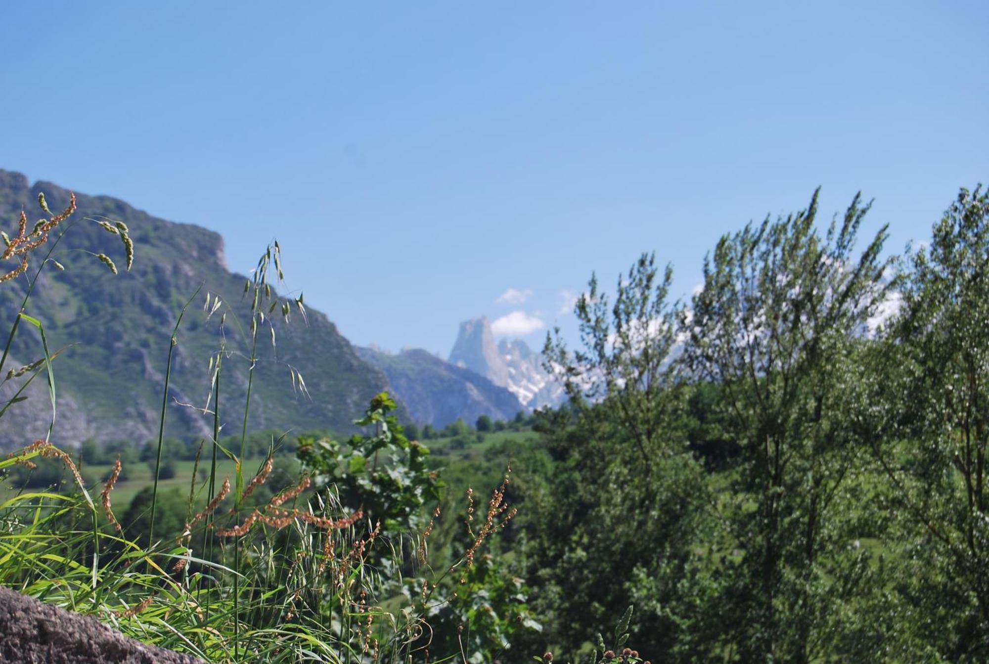 Mirador De Urriellu Daire Poo  Dış mekan fotoğraf